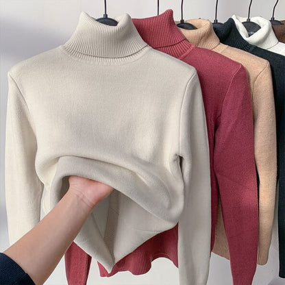 Women Turtleneck Sweater Autumn Winter Elegant Thick Warm Long